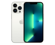 Apple iPhone 13 Pro 256GB Silver - 681171 - zdjęcie 1